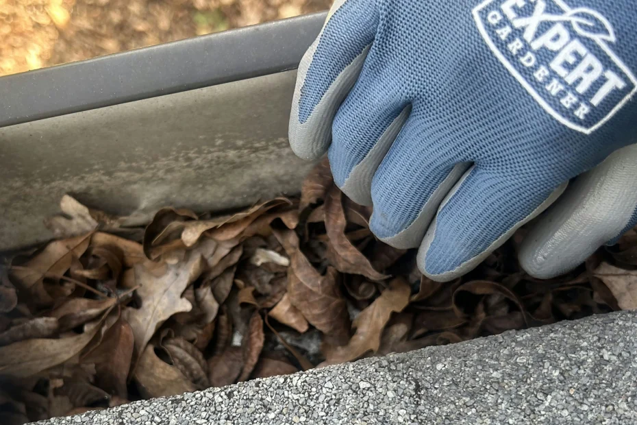 Gutter Cleaning Marriemont